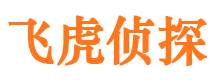 谷城私家调查公司